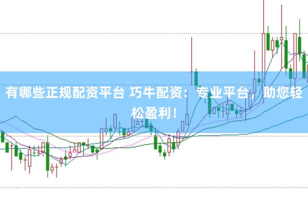 有哪些正规配资平台 巧牛配资：专业平台，助您轻松盈利！