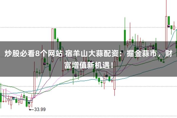 炒股必看8个网站 宿羊山大蒜配资：掘金蒜市，财富增值新机遇！