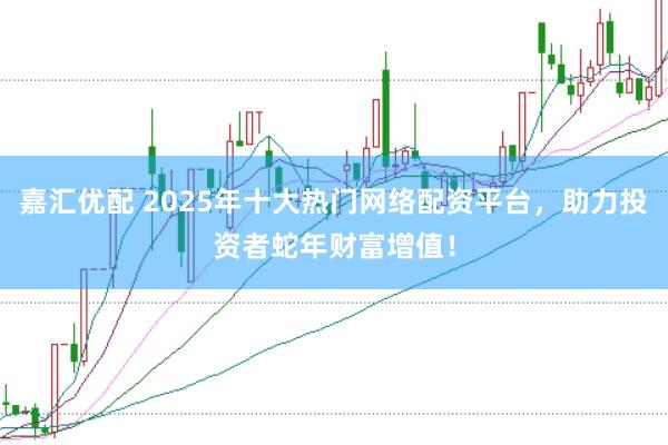 嘉汇优配 2025年十大热门网络配资平台，助力投资者蛇年财富增值！