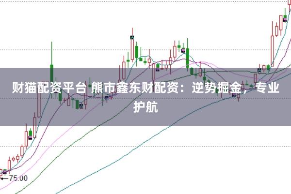 财猫配资平台 熊市鑫东财配资：逆势掘金，专业护航